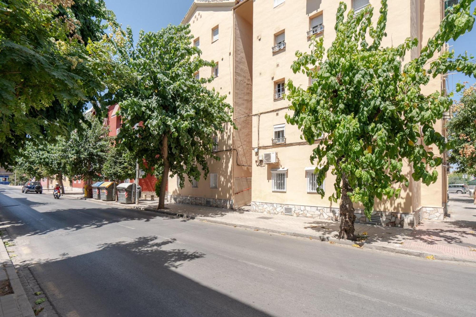 Congress Appartement *